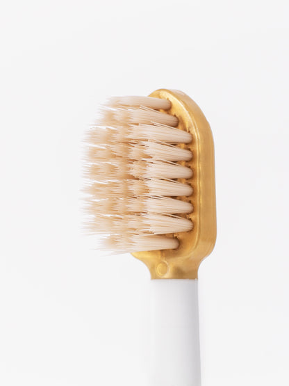 Brosse à dent infusée au Siwak